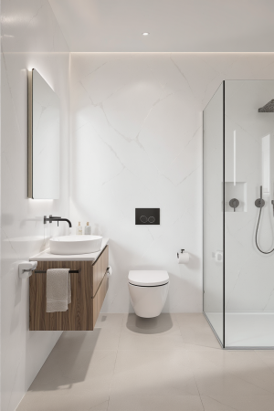 Minimalist Bathroom
