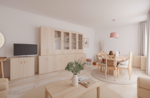 New Scandinavian Living Room