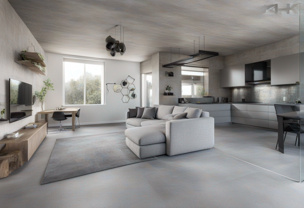 New Minimalist Living Room