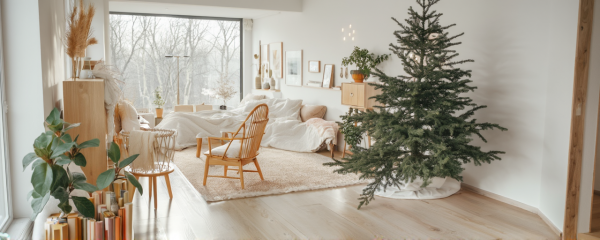 New Scandinavian Living Room