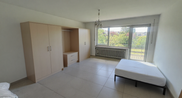 New Mid-Century Modern Bedroom