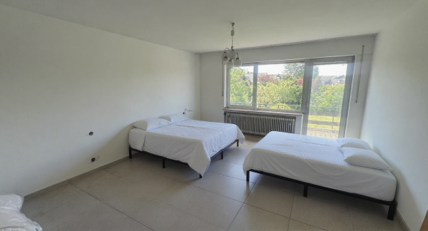 New Mid-Century Modern Bedroom
