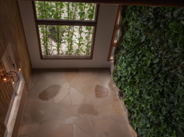 New Biophilic Bedroom
