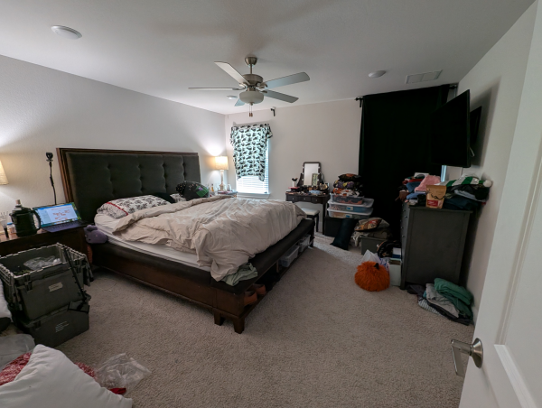 Old Biophilic Bedroom